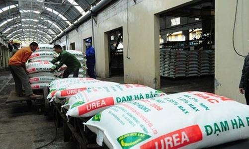 Đạm Hà Bắc lỗ luỹ kế 2.500 tỷ đồng, sắp âm vốn chủ sở hữu