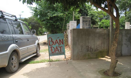 Khi đất Ba Vì tăng giá: Trong thế giới “cò”