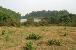 Đã có quy chế mẫu về quản lý, sử dụng quỹ phát triển đất