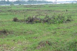 Hà Nội chi 1.000 tỷ đồng lập Quỹ phát triển đất