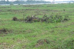 Sắp trình Chính phủ quy hoạch sử dụng đất toàn quốc