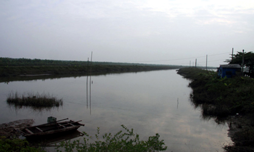 Tháng 3 sẽ kiểm tra việc giao, cho thuê đất bãi bồi