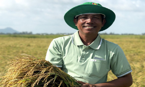 Năm 2021, Đạm Cà Mau dự kiến lãi sau thuế 197 tỷ đồng