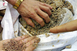 Hợp tác chống phân bón không đảm bảo chất lượng 