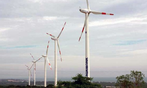 Xây nhà máy điện gió công suất lớn tại Cà Mau