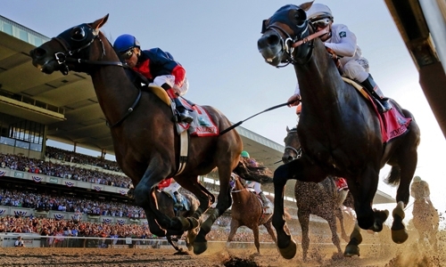 Vĩnh Phúc chấp thuận dự án trường đua ngựa 1,5 tỷ USD