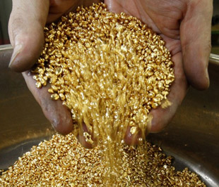 Giá vàng tăng vọt