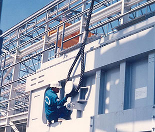 0 đồng cổ tức: Rủi ro bất khả kháng?