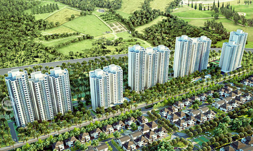 DTJ giới thiệu căn hộ Ecopark Rừng Cọ
