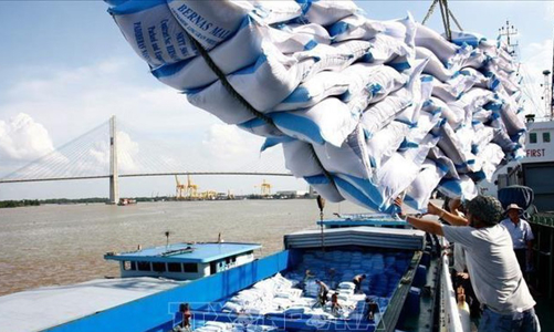 Xuất khẩu sang EU tăng mạnh trong thời covid-19 nhờ thực thi EVFTA