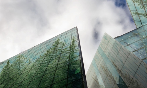 Thách thức của đô thị hóa đối với hệ sinh thái