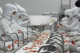 Xuất khẩu thủy sản năm 2009 có thể đạt 4,4 tỷ USD