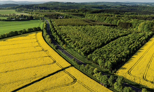 Gỡ rào cản giao dịch đất nông nghiệp