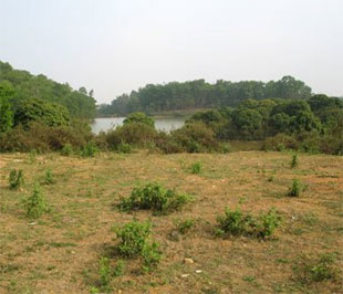 Hà Nội: 7.200 ha đất 