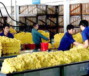 Giá cao su xuất khẩu tăng mạnh so với đầu năm