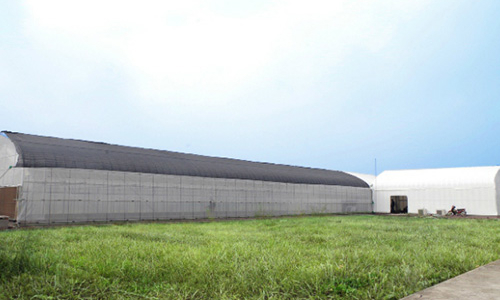 FPT - Fujitsu bắt tay trồng rau