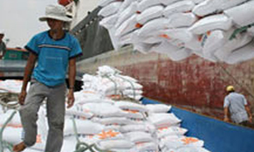 Giá lương thực thế giới tăng: Việt Nam làm gì?