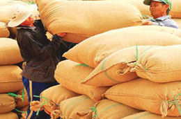 Xuất khẩu nông, lâm sản 4 tháng tăng 12,8% 