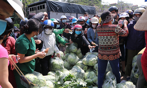 Giải cứu nông sản cho Hải Dương: Giải pháp nào mới là căn cơ?