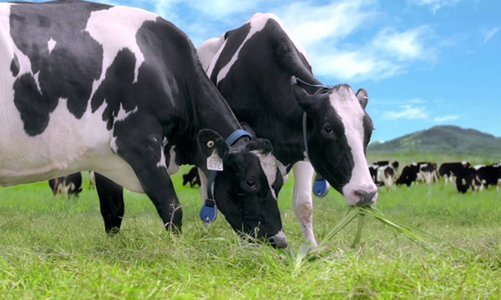 Sếp GTN từ nhiệm sau khi bán hết cổ phiếu