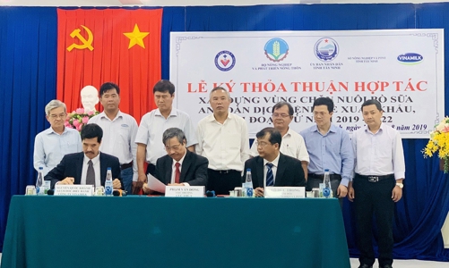 Vinamilk phối hợp với Cục Thú y xây dựng vùng chăn nuôi bò sữa an toàn dịch bệnh