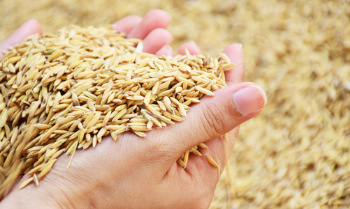 Động lực cho kỳ tích xuất siêu 2020