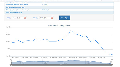 HSG phải bán hết cổ phiếu quỹ trước khi mua lại 22 triệu cổ phiếu giảm vốn điều lệ