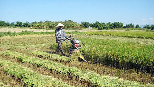 Đề xuất miễn thuế sử dụng đất nông nghiệp đến 2030