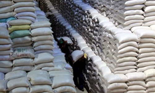 Xuất khẩu gạo phải có giấy chứng nhận đủ điều kiện kinh doanh
