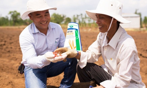 Phát triển bền vững - 