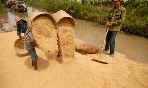 Xuất khẩu gạo: Lo, không chỉ bởi cung - cầu