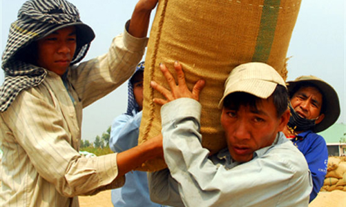 Quý 4, có thể xuất khẩu 2 triệu tấn gạo