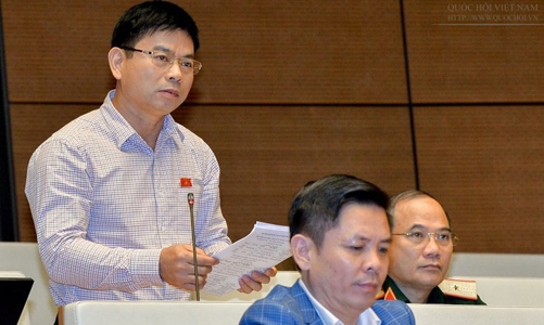 Đánh giá mô hình tăng trưởng chưa rõ nét là “chính xác”