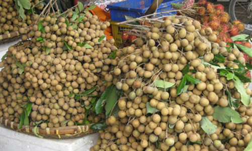 Nhãn Hưng Yên đang bị nhãn ngoại chèn ép?