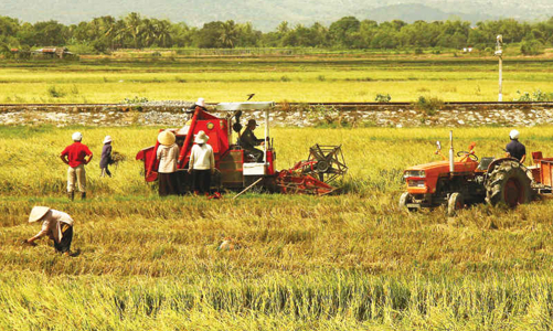 Doanh nghiệp nông nghiệp “khai tử” nhiều hơn là lập mới