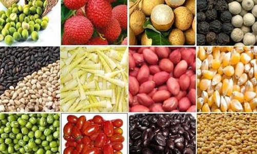 Xuất khẩu nông sản sang EU: Cửa mở rộng, nhưng không dễ vào