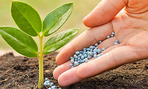 Hai doanh nghiệp thuộc Vinachem muốn kéo dài áp thuế chống bán phá giá với phân bón