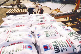 Giá phân bón được dự báo khó tăng cao