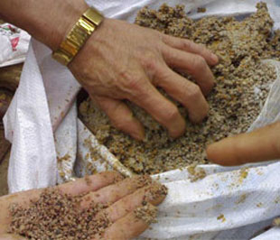 Dùng phân bón giả bị... phạt