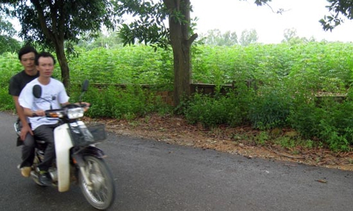 Đất Ba Vì: Bắt đầu làn sóng bán tháo?