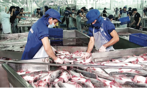 Đón đầu cơ hội từ EVFTA và những kỳ vọng trong lo lắng