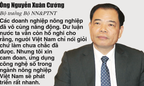 Xuất khẩu ngành nông nghiệp 2021 và câu hỏi ''khó'' của Thủ tướng 