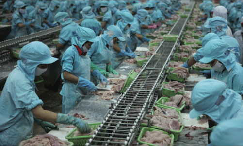 Xuất khẩu nông lâm thuỷ sản tháng 1: Bức tranh đa dạng sắc màu