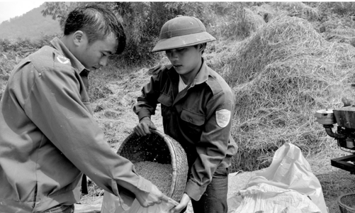 Xuất khẩu gạo: Cần làm gì để bớt phụ thuộc vào thị trường Trung Quốc?