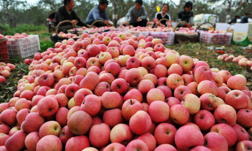 Hàng nghìn mặt hàng sẽ vào Việt Nam với thuế 0% nhờ ACFTA