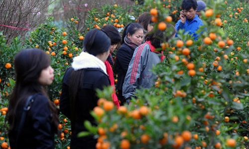 Nghỉ Tết 9 ngày, bắt đầu từ 28 tháng Chạp