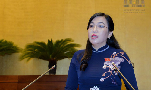 Còn 456 kiến nghị của cử tri trong diện 