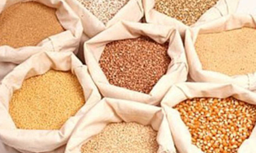 Việt Nam cấm nhập thức ăn chăn nuôi có kháng sinh kích thích sinh trưởng