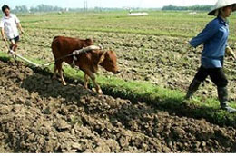 Thu tiền sử dụng đất sát giá thị trường: Doanh nghiệp... “chết đứng”?