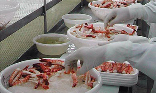 Mỹ tăng thuế chống bán phá giá với tôm Việt Nam